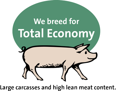 Total Economy
