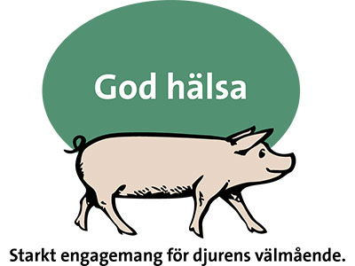God hälsa